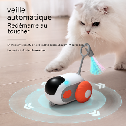 Crazy-Joy – Voiture interactive pour chat